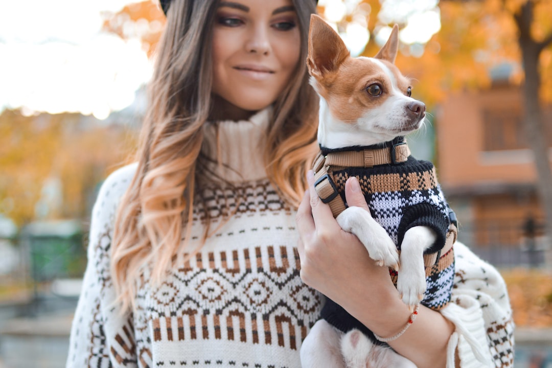 Photo dog accessories