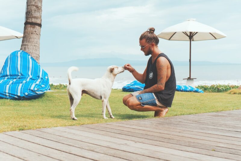 Maximizing Your Dog’s Exercise Routine