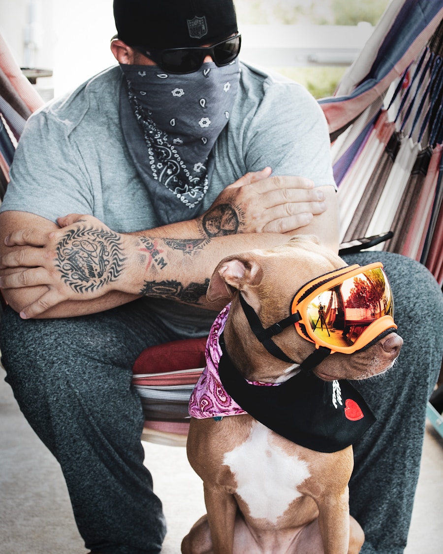 Photo dog lifestyle