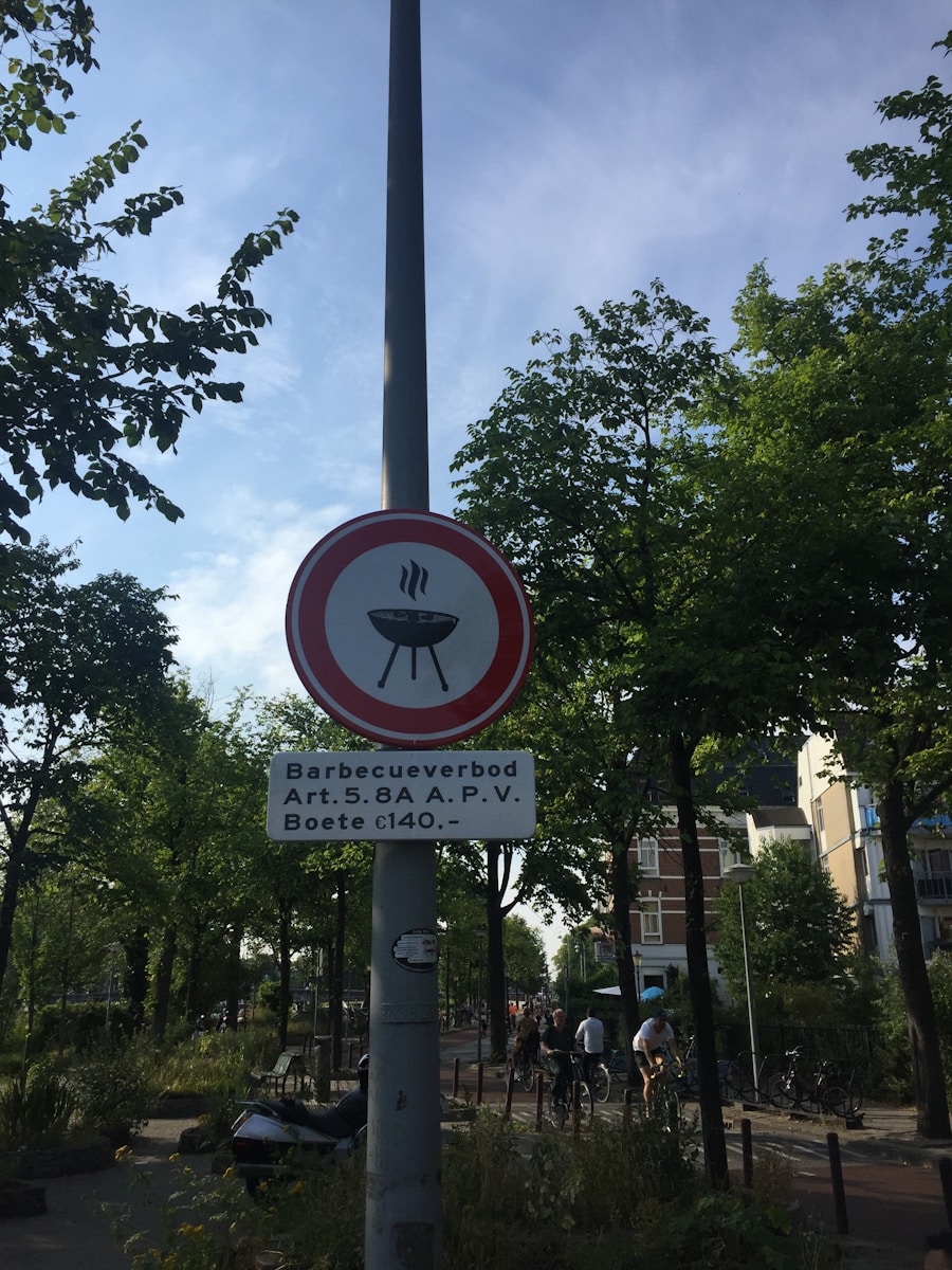 Photo dog-friendly activities